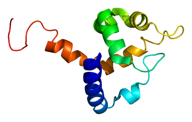 File:Protein ARID5B PDB 1ig6.png