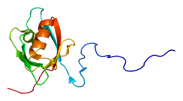 File:Protein MPP5 PDB 1va8.png