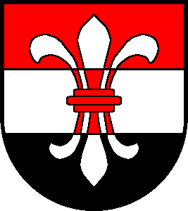 File:Schoenenwerd-blason.png