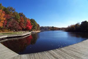 File:Turkey Swamp during the autumn months.jpg