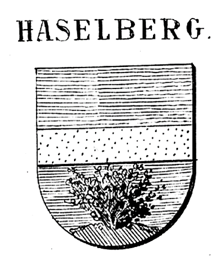 File:Wappen Haselberg Siebmacher T81.png