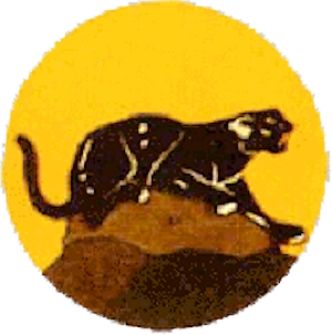 File:554th Bombardment Squadron - Emblem.png