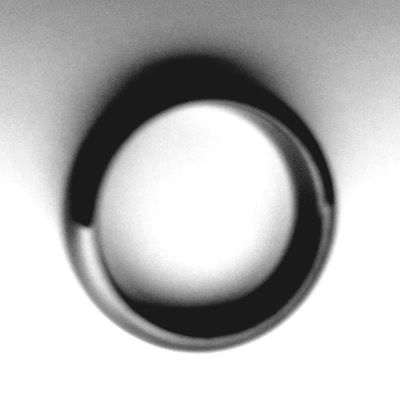 File:Asexual ring.jpg