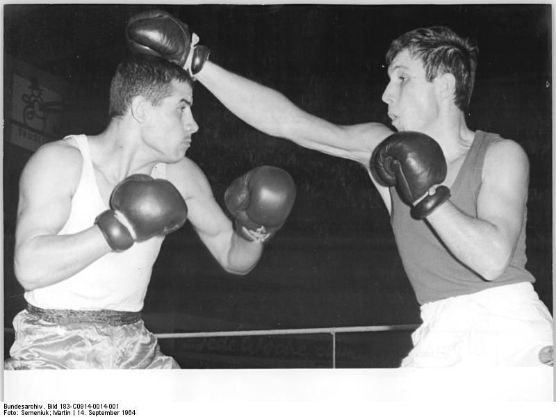 File:Bundesarchiv Bild 183-C0914-0014-001, Dinu, Heiko Winter.jpg