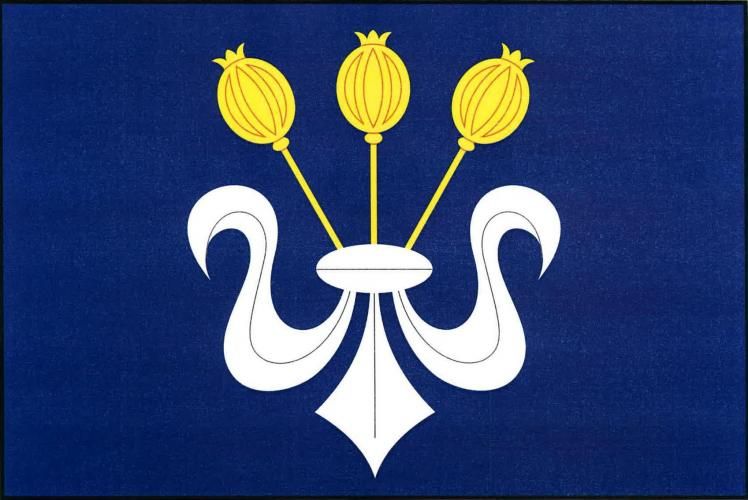 File:Flag of Puclice.jpg