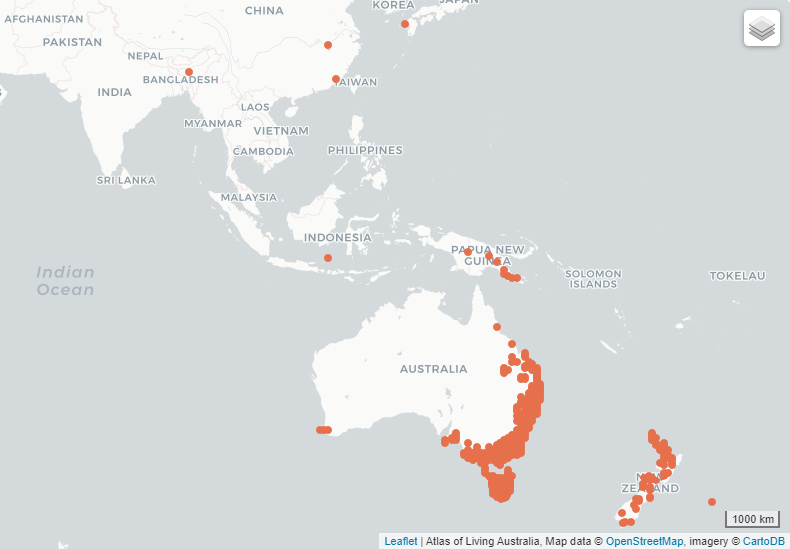 File:Gonocarpus micranthus occurrence from ALA.png