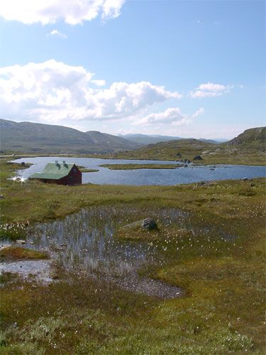 File:Hardangervidda.jpg