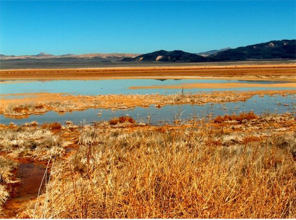 File:Harper Dry Lake Marsh.jpg