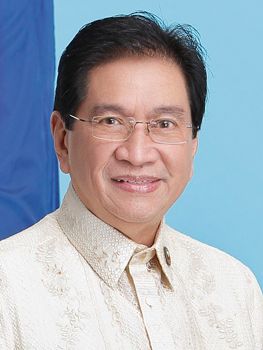 File:Henry Villarica (18th Congress).jpg