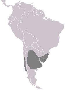 File:Heteronetta atricapilla distribution.PNG