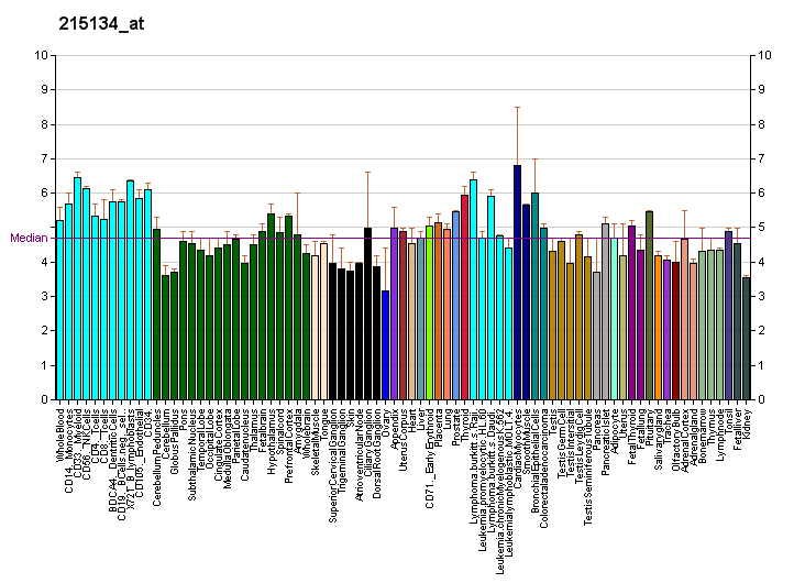 File:PBB GE PI4KII 215134 at fs.png