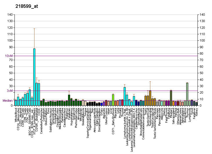 File:PBB GE REC8L1 218599 at fs.png