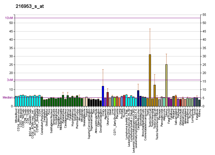 File:PBB GE WT1 216953 s at fs.png