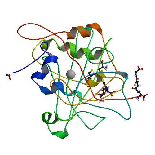 File:PBB Protein CA3 image.jpg