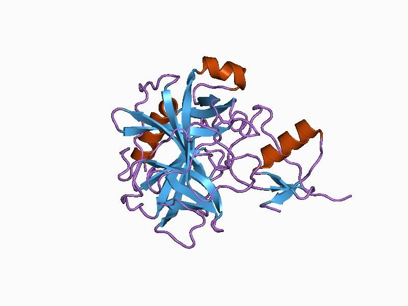 File:PDB 1cgj EBI.jpg