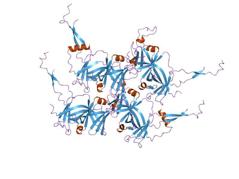 File:PDB 1f3u EBI.jpg