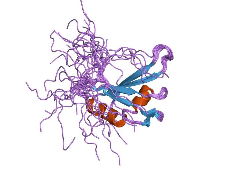 File:PDB 2cq0 EBI.jpg