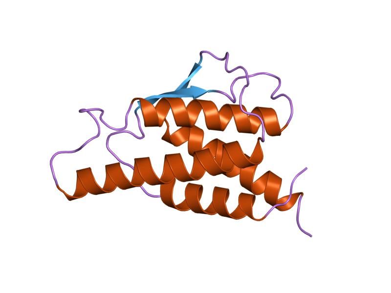 File:PDB 2int EBI.jpg