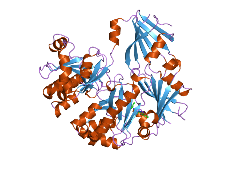 File:PDB 3bl7 EBI.png