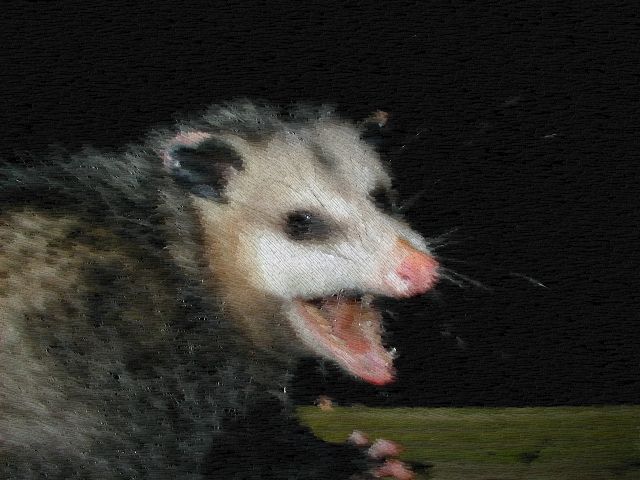 File:Pastel Possum.jpg