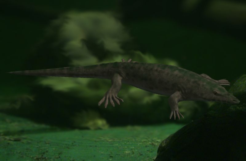 File:Archegosaurus BW.jpg