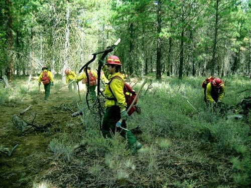 File:B&B Fire Rehabilitation.jpg