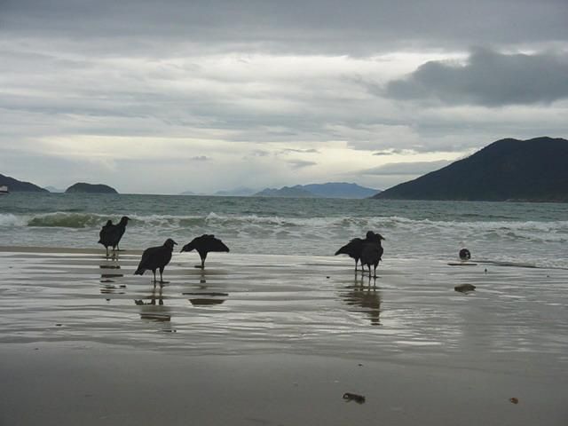 File:Brazil-Florianopolis.jpg