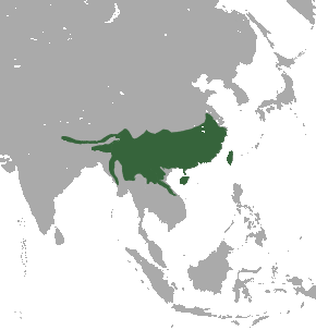 File:Chinese Pangolin range.png