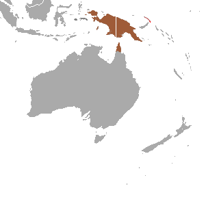 File:Common Spotted Cuscus area.png