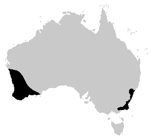 File:Heleioporus range.PNG