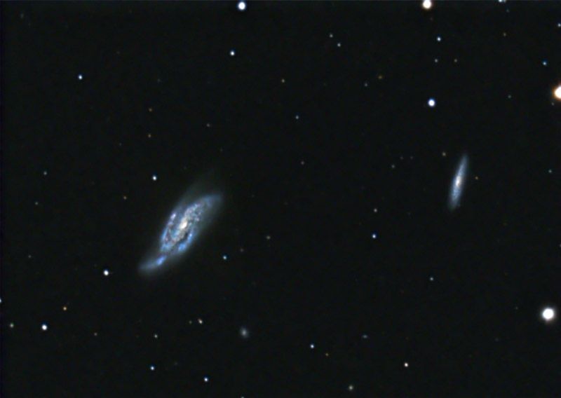 File:NGC4088 4085 JeffJohnson.jpg