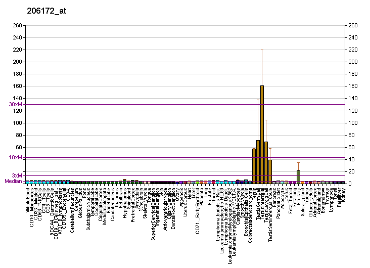 File:PBB GE IL13RA2 206172 at fs.png