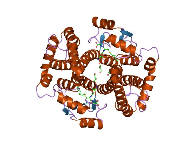 File:PDB 1k3y EBI.jpg