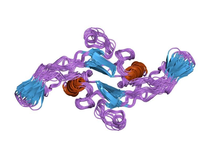 File:PDB 1kld EBI.jpg