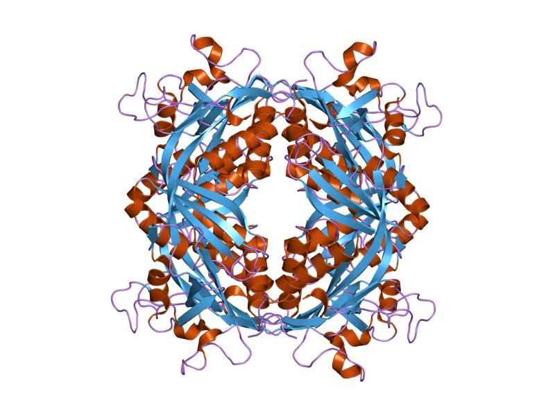 File:PDB 1m5s EBI.jpg