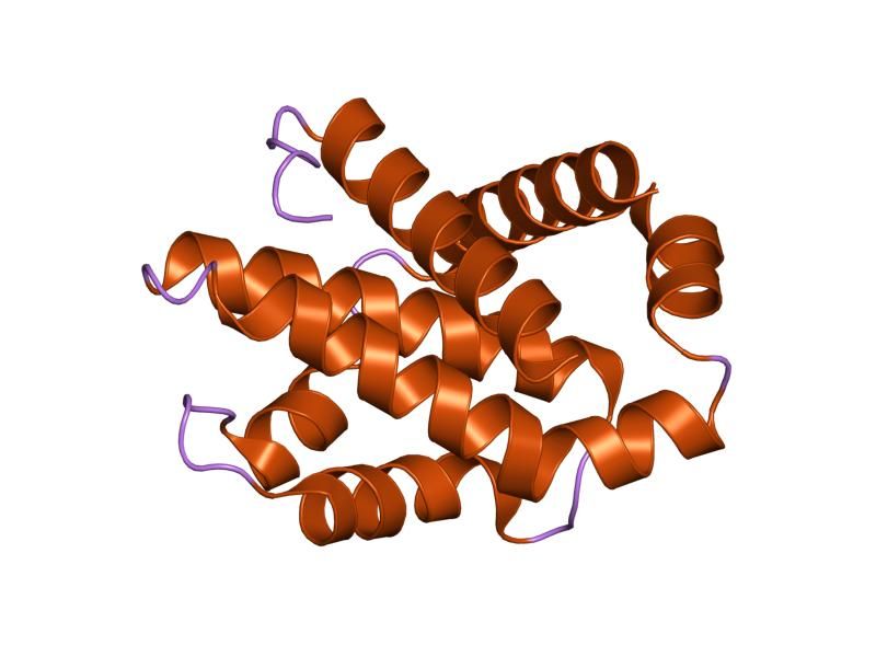 File:PDB 1r2h EBI.jpg