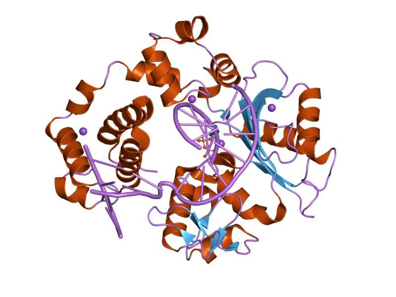 File:PDB 1xsp EBI.jpg