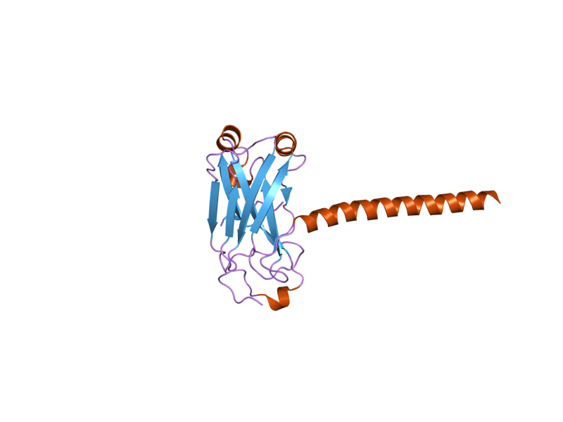 File:PDB 1zms EBI.png