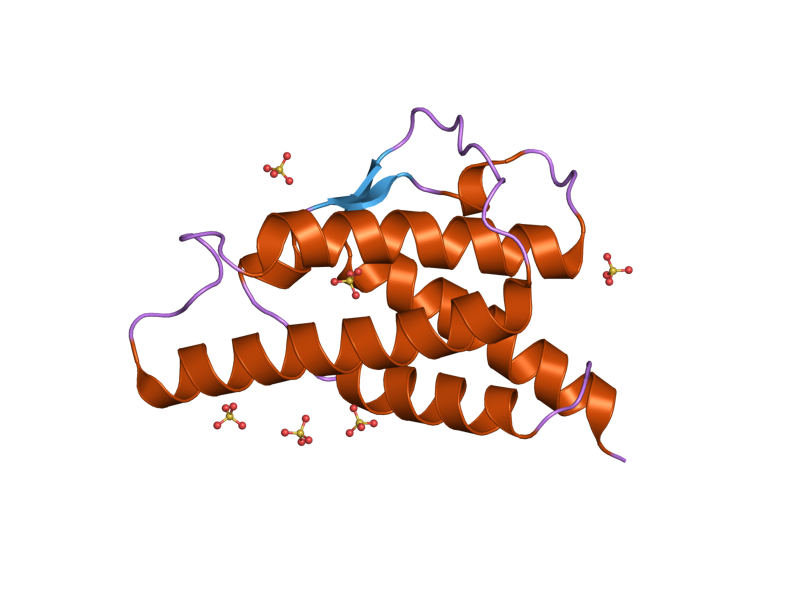 File:PDB 2b8y EBI.png