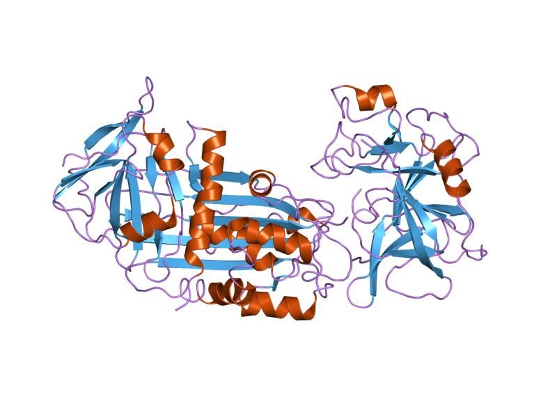 File:PDB 2d26 EBI.jpg