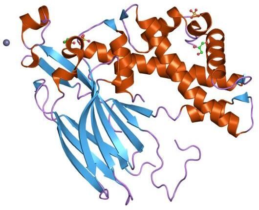 File:PDB 2hue EBI.jpg