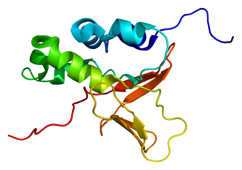 File:Protein TGFBI PDB 1x3b.png