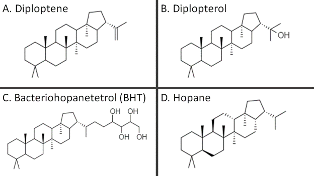 File:Representative hopanoids.png