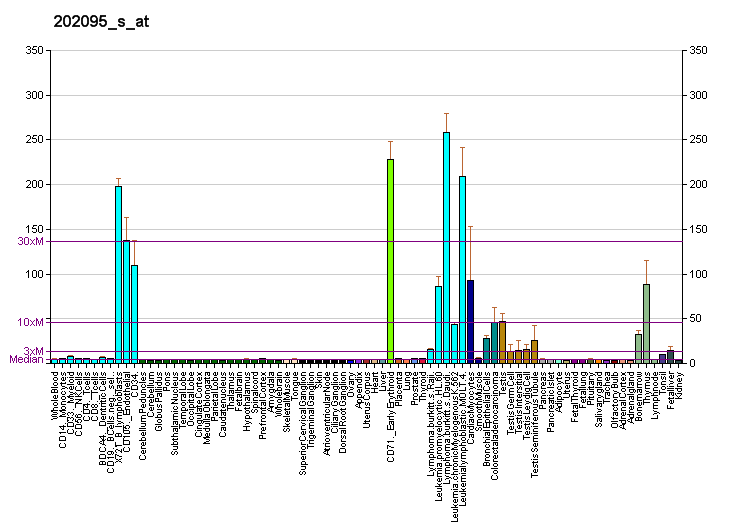 File:PBB GE BIRC5 202095 s at fs.png