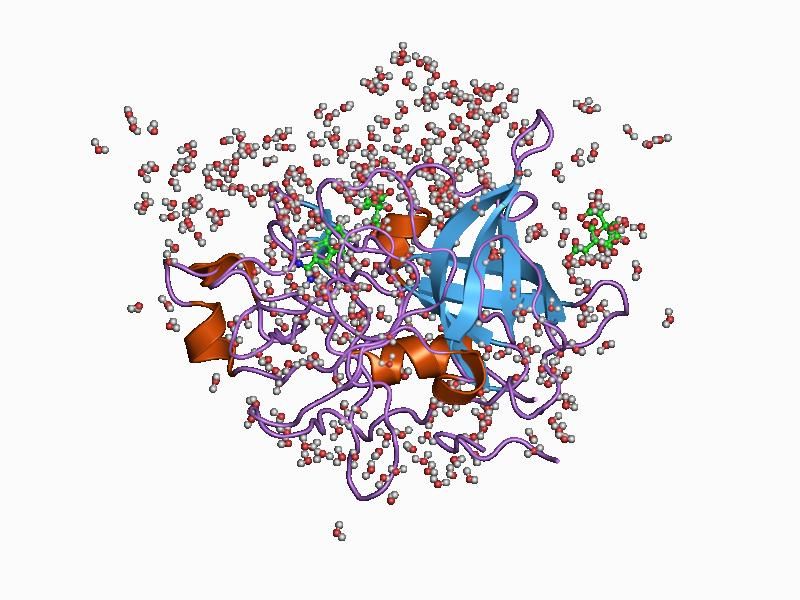 File:PDB 1c5y EBI.jpg