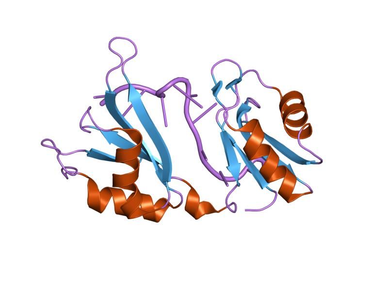 File:PDB 1g2e EBI.jpg