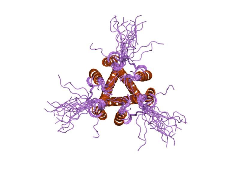 File:PDB 1iie EBI.jpg