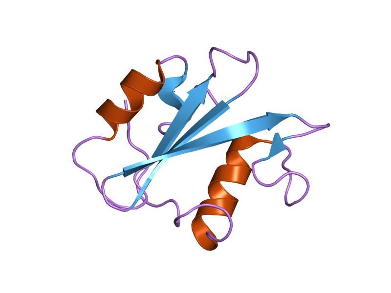 File:PDB 1jwo EBI.jpg