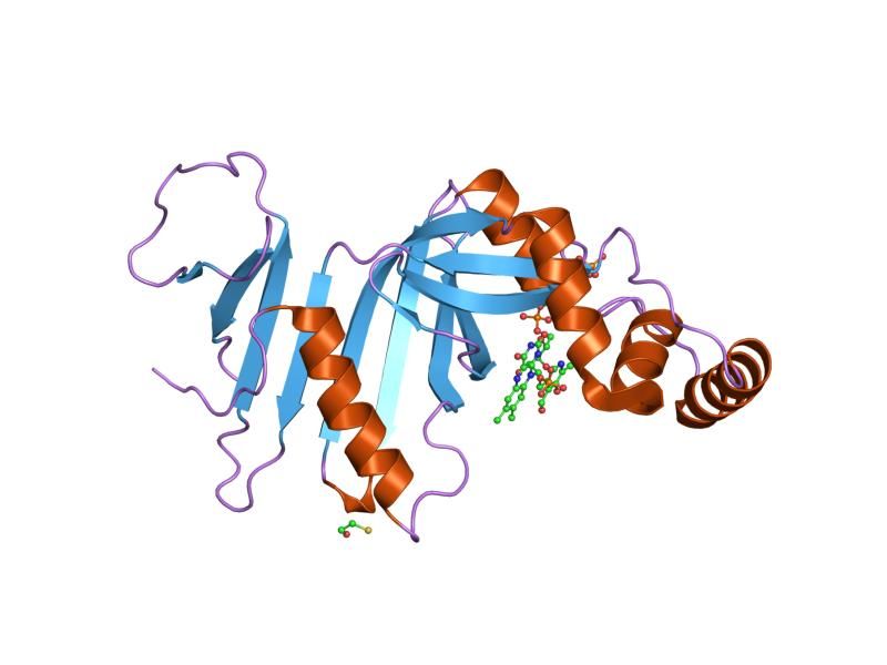 File:PDB 1nrg EBI.jpg