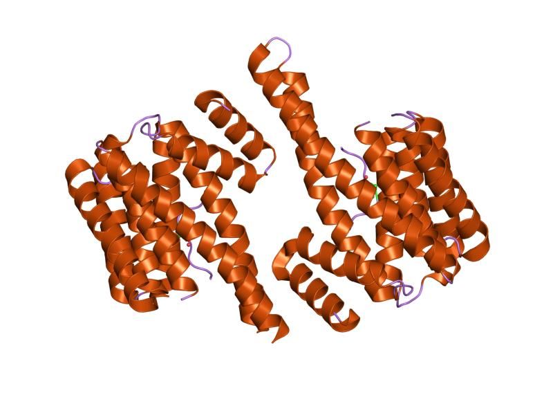 File:PDB 1qja EBI.jpg